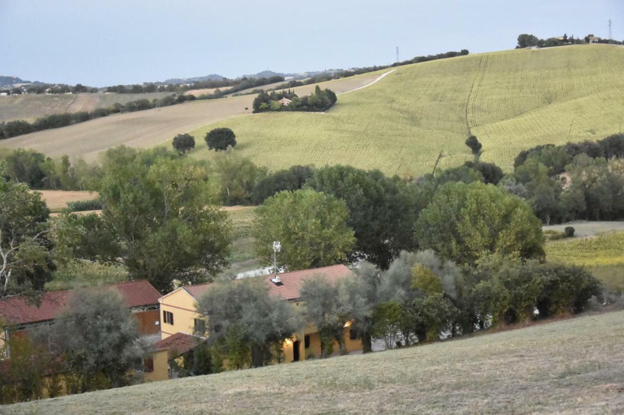 Willa Agriturismo Fattoria Del Colle Jesi Zewnętrze zdjęcie