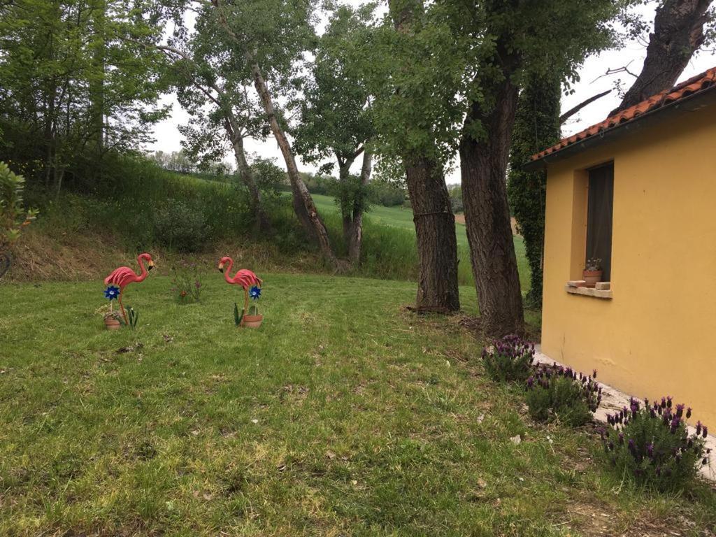 Willa Agriturismo Fattoria Del Colle Jesi Zewnętrze zdjęcie